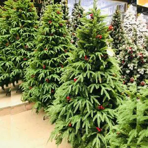 New Year's gifts - Christmas tree(3m)