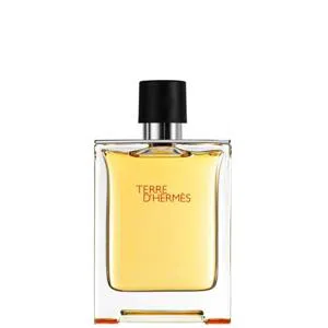 Hermes Terre D`Hermes Eau Intense Vetiver parfum 100ml (special packaging)